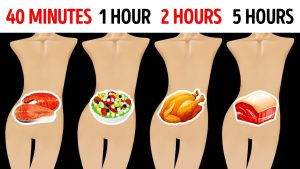 How long does your food take to digest
